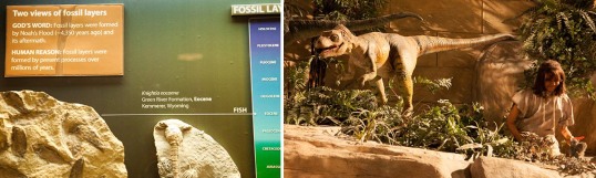 The explanation for fossils according to the Creation Museum (on the left), and a diorama depicting a human being coexisting with a dinosaur on the right.
