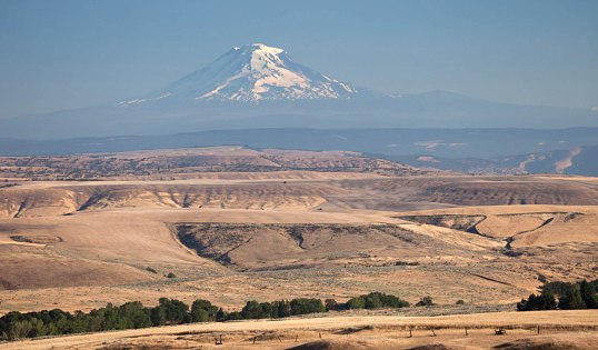 Lava flows of the CRBG in northern Oregon and Mt. Adams of southern Washington.  With views like this, how can you say the CRBG is boring? (Location "F" on map below.)